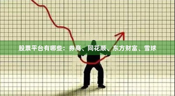 股票平台有哪些：券商、同花顺、东方财富、雪球